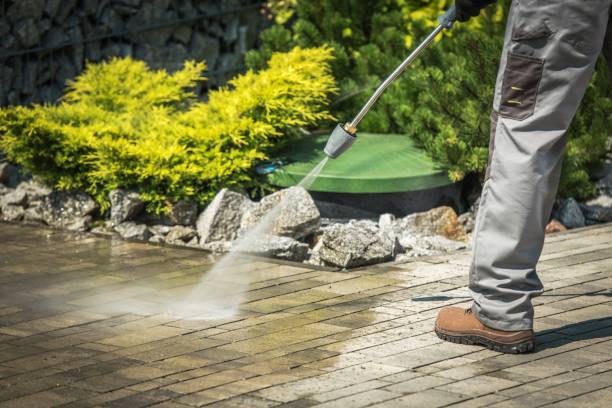Best Boat and Dock Cleaning  in Ridgeville, SC