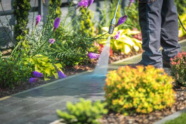 Best Gutter Cleaning  in Ridgeville, SC