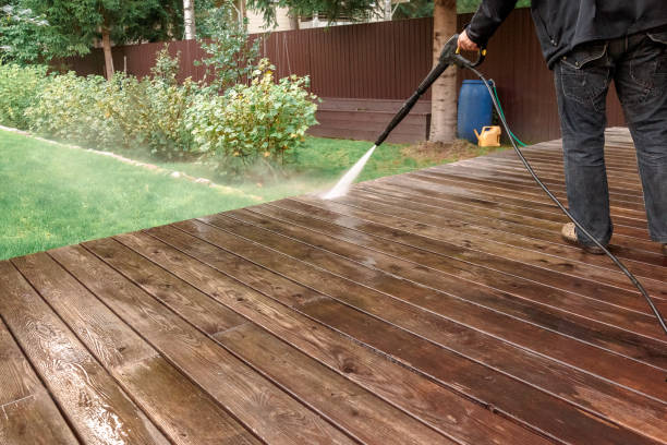 Best Animal Enclosure Cleaning  in Ridgeville, SC